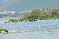 DSCN2373