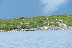 DSCN2376