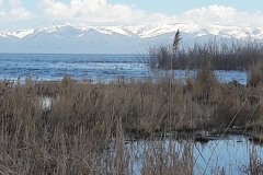 20170417_111849
