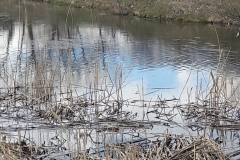 20170417_115240