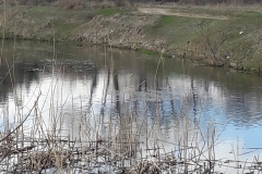 20170417_115243