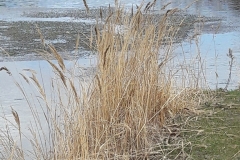 20170417_115318