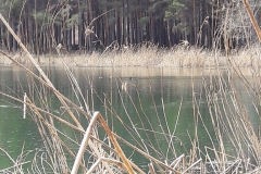 20170417_115638