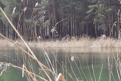 20170417_115642