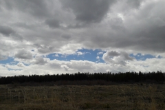 20170417_121929