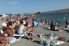 12279119_1260071060685447_18394493108874150_n